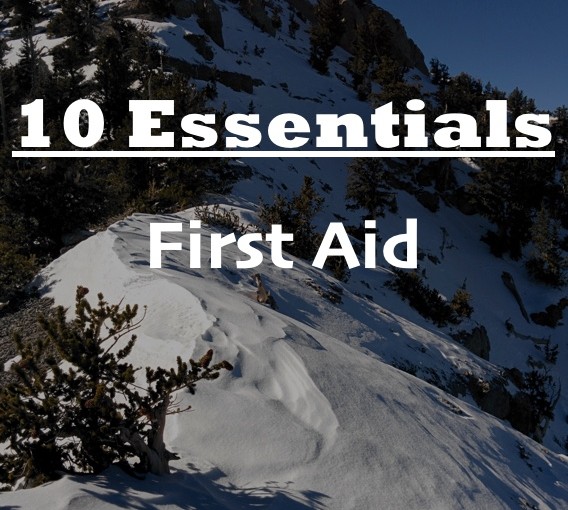 First Aid – 10 Essentials