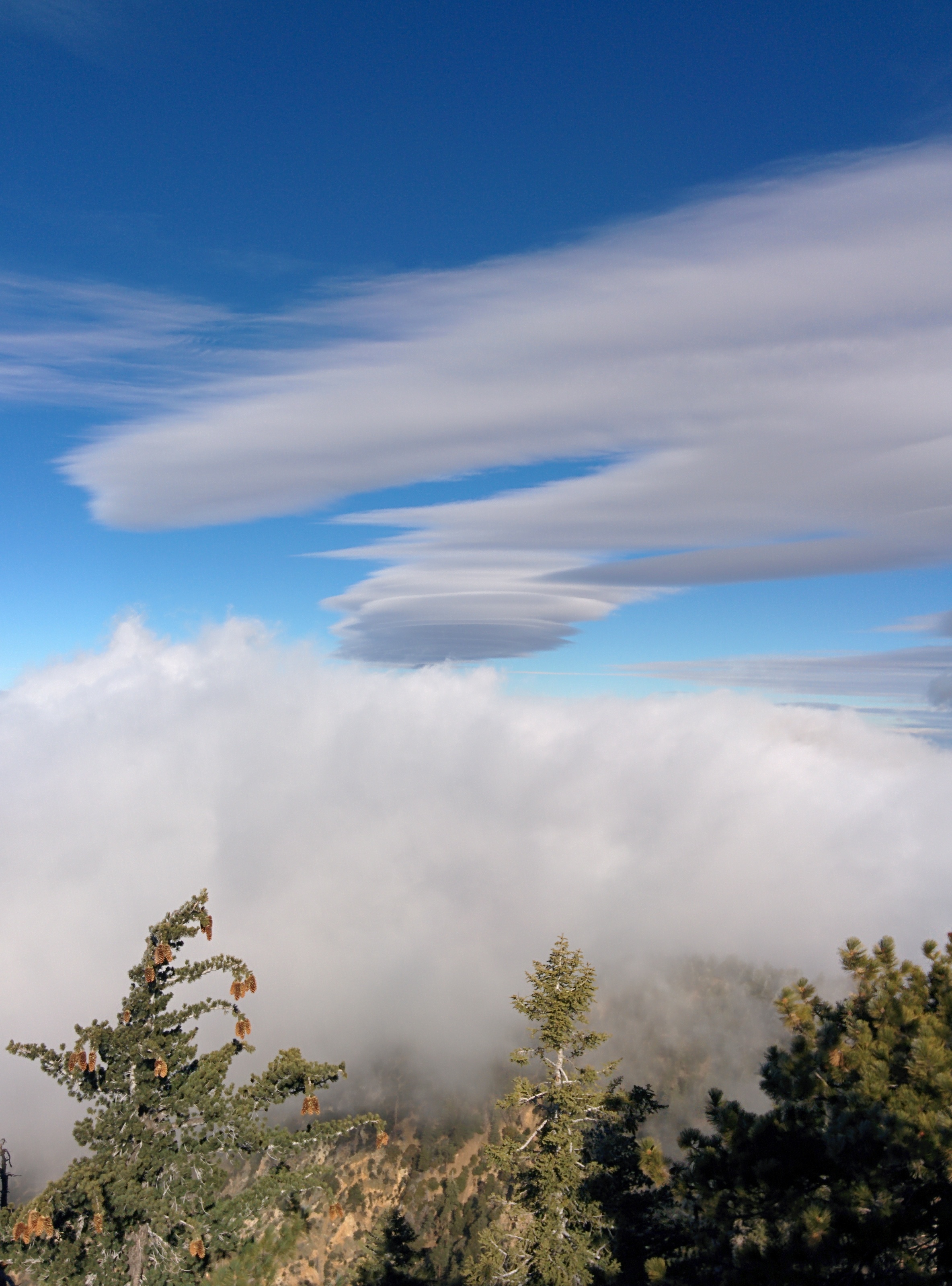 Interesting Cloud Formations