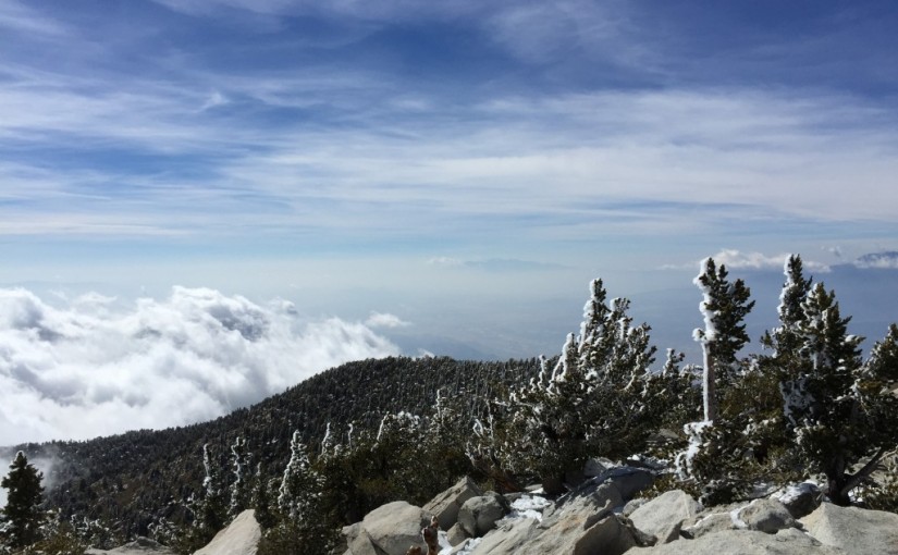 Cactus to Clouds